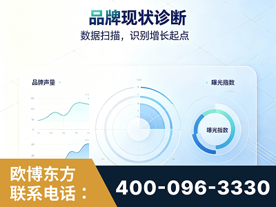 永州-品牌现状诊断