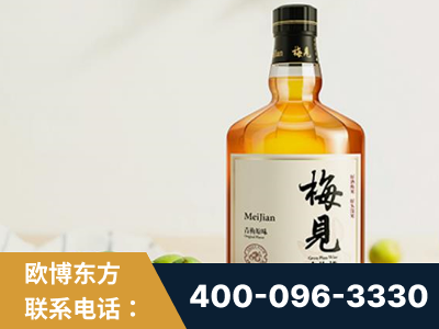永州-梅见青梅酒